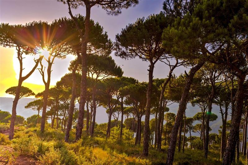 Lebanon nature landscape beautifullebanon lebanon_hdr lebanonspotlights...