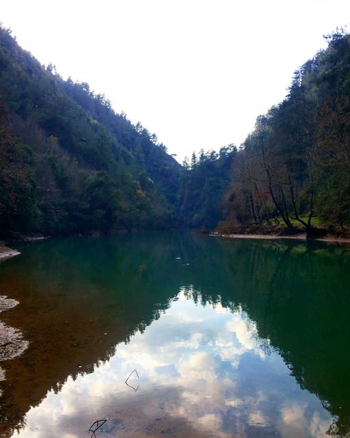  lebanon  nature  naturelovers  chouwen ...