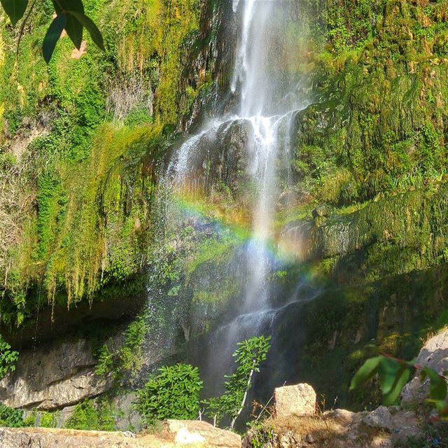 😍 lebanon  nature  naturelovers  natureporn  landscape  follow4follow ... (Jezzine Waterfall)