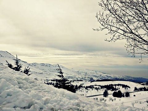  lebanon  north  cedars  bcharre  livelovelebanon  livelovebcharre  winter...