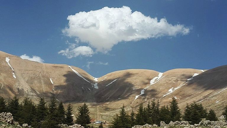  lebanon  north  cedars  bcharre  livelovelebanon  livelovebcharre ...