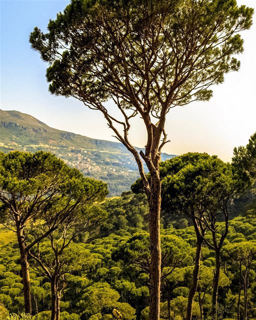 Lebanon remhala landscape nature lebanon_hdr loves_lebanon super_lebanon... (Aïn Ksoûr, Mont-Liban, Lebanon)
