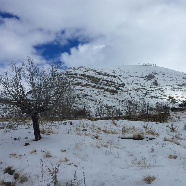  lebanon  snow  winter  faraya  mountain  clouds  nature  naturegram ... (Faraya, Mont-Liban, Lebanon)