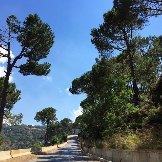  lebanon  summer  trees  road  bluesky  nature  ig_captures  ig_lebanon ... (Bologne, Mont-Liban, Lebanon)
