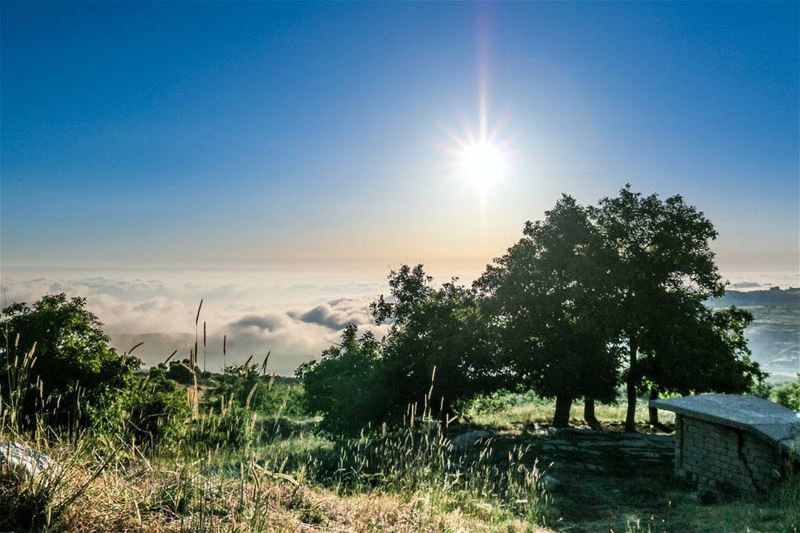  Lebanon  Sunday  Mountain  Sun  Sky  Clouds  Nature  Green  Blue ...