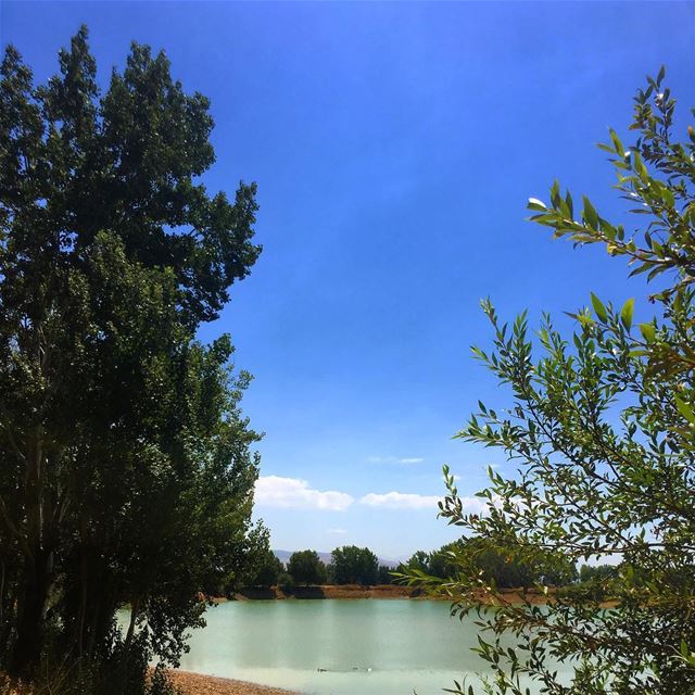  lebanon  taanayel  lake  nature  summer ... (Taanayel Lake)