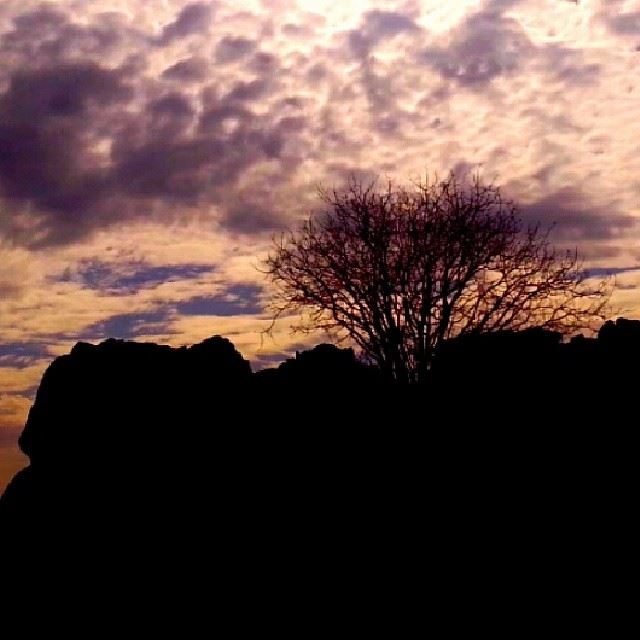  lebanon wataeljawz tree cloudy...