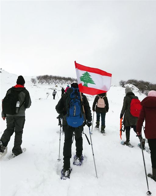 🇱🇧🔝 (Lebanon)