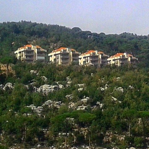 lebanonhouses beautifulnature pinetrees (Shweir)