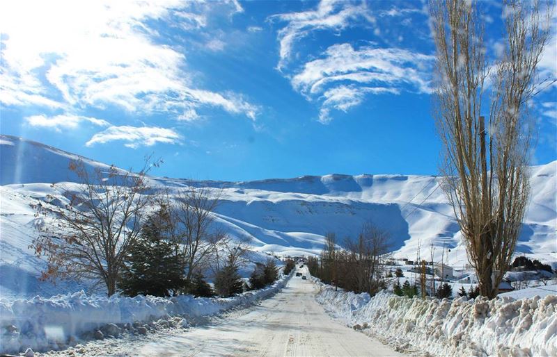  lebanoninapicture  lebanonshots  lebanoncedars  snow  naturelovers ...