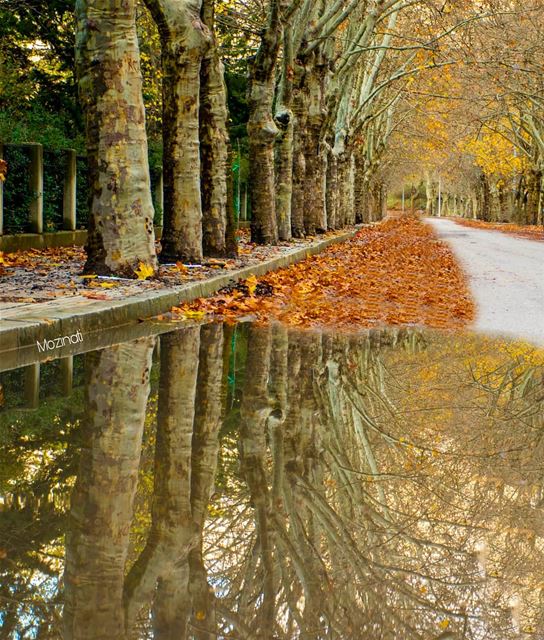  lebanonspotlights autumn🍁 watercolor waterreflection super_lebanon... (Sawfar, Mont-Liban, Lebanon)