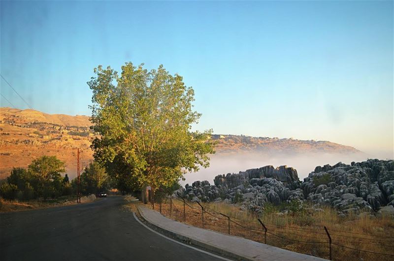  lebanontoday  meetlebanon  super_lebanon  green  mountains  rocks ... (Faraya Mzaar)