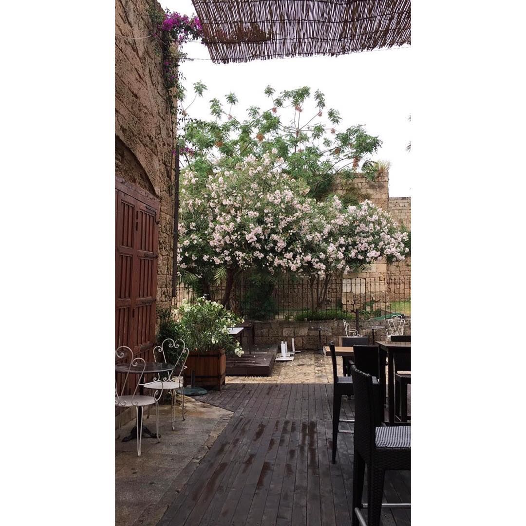 « Les pensées sont lentes, profondes et dorées le matin » morning spring... (Byblos, Lebanon)