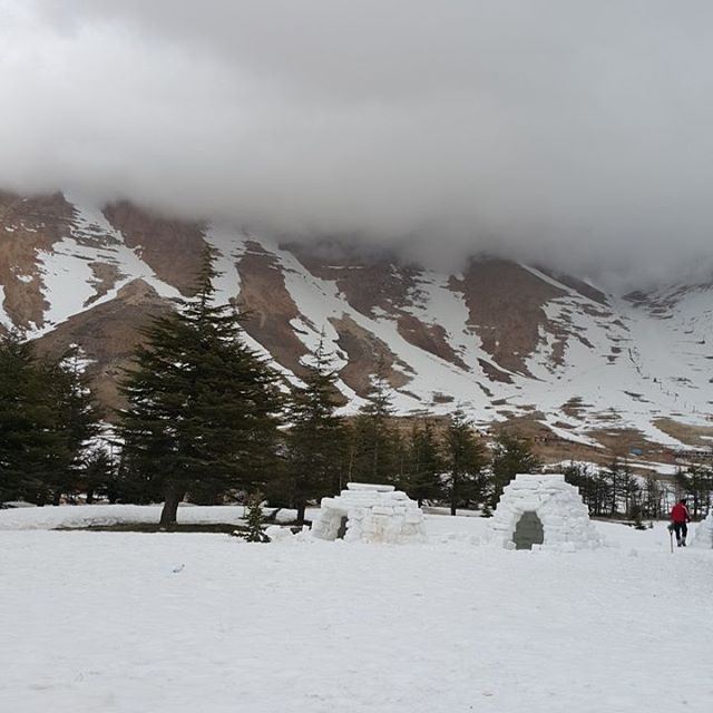 Let's build  naturelovers  livelovelebanon  igloo  mountains  cedars ...