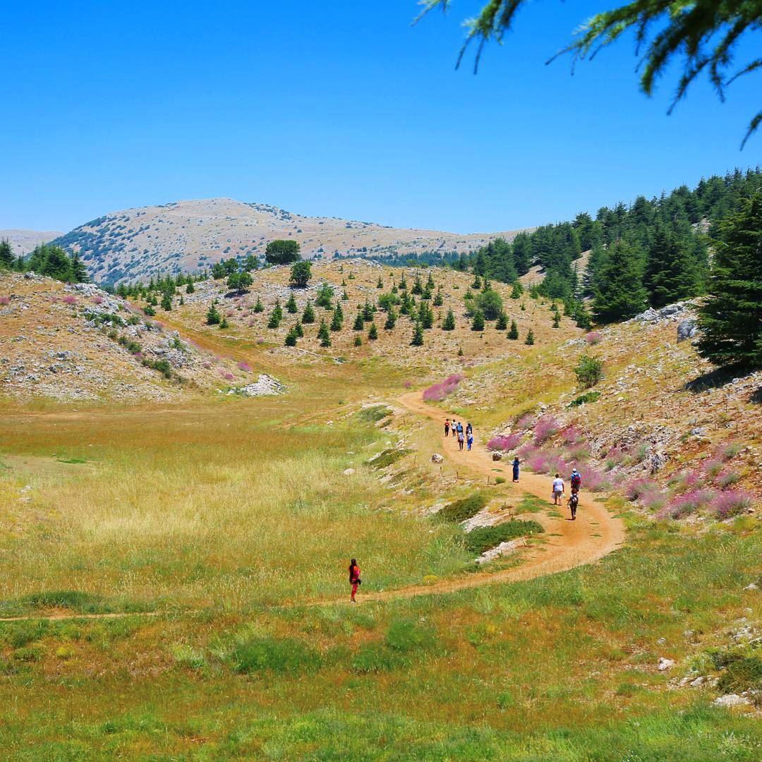 Let's get lost ❤ hiking  explorelebanon  picoftheday  livelovelebanon ... (Arz el Chouf)