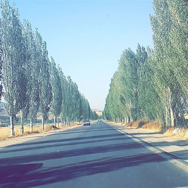 Let's Go On A RoadTrip 🚗🍃 roadtrip  Bekaa ... (`Ammiq, Béqaa, Lebanon)