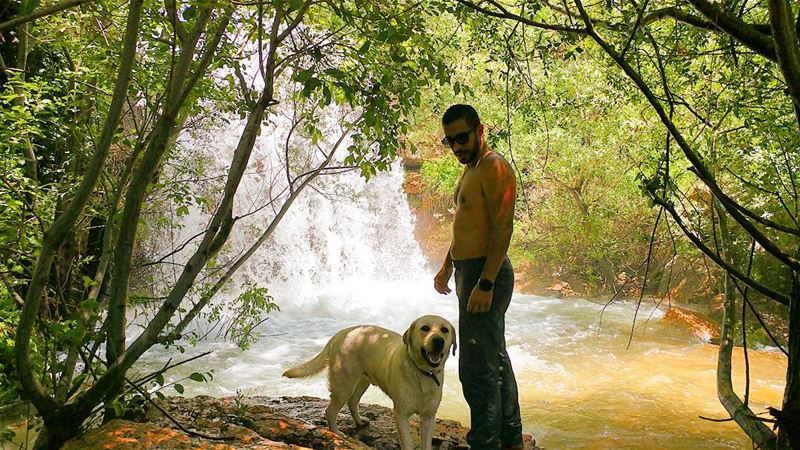 Let's take a dip 🐶😎🏞... (My Adventures Lebanon)