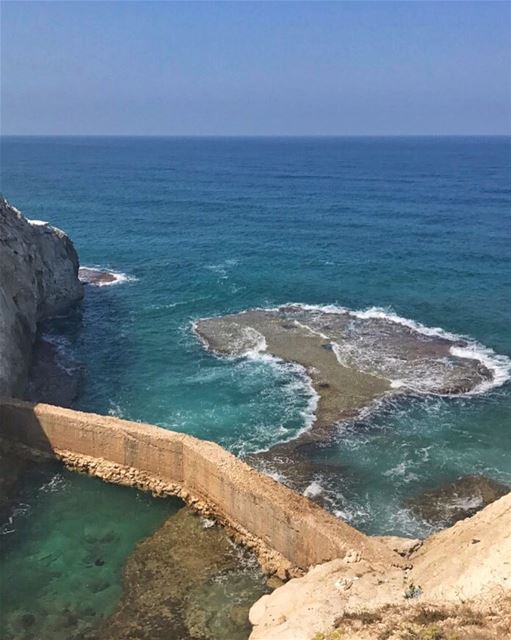 Let's take a swim 🌊🐠💙  ceeLebanon ... (لبنان)