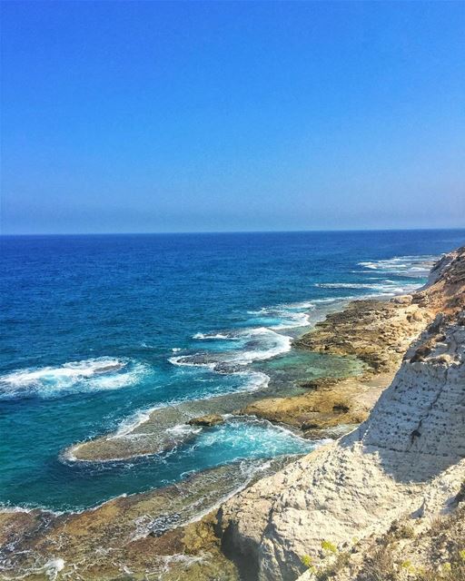 Lets dive! (Lebanon)