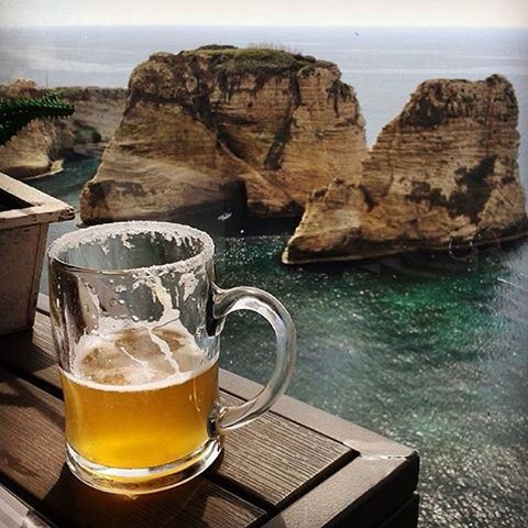 Lets have a drink by the sea 🍻🌊 cheers ☺️☺️☺️ Credits to @gritto_the_budgie