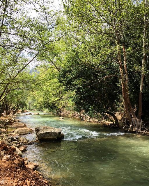 Life is better by the river 💦🌱 a7labaladbil3alam  photo  love  ... (Moltaka Al Nahrayn)