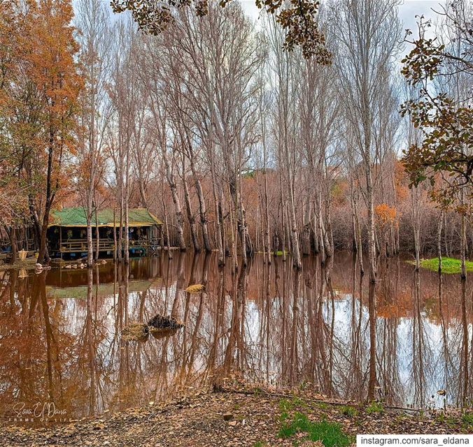 Life taught me honesty, truth, compassion, kindness and how to care for... (Abdelli, Liban-Nord, Lebanon)