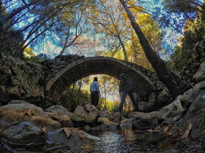 Life was meant for good friends and great adventures ... (Under The Bridge)