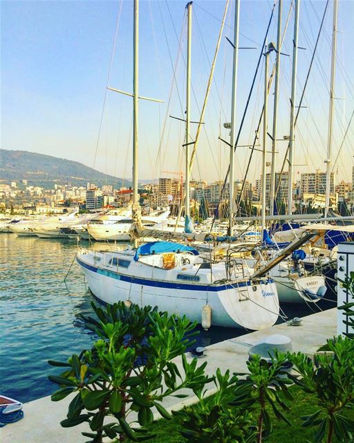 Listening to the Sea🌊...It has so much to say💙💙⛵️ photography ... (Lebanon)