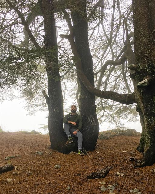 Literally sitting in nature’s lap 💚 ... (Lebanon)