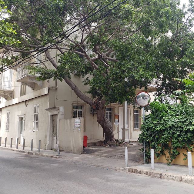  liveloveachrafieh  livelovebeirut  oldbeirutlebanon  livelovelebanon ... (Achrafieh Fassouh)