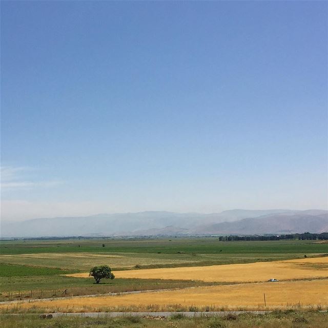  livelovebekaa  beautifullebanon  livelovelebanon  instacool ... (`Ana, Béqaa, Lebanon)