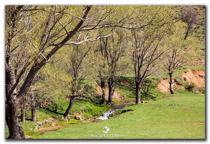  livelovelebanon  landscape  discover961  lebanonbylocal ...