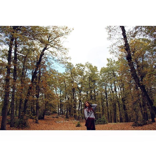 🍁🍂 livelovelebanon  livelovebeirut  LiveLoveSports  outdooradventures ... (North Governorate)