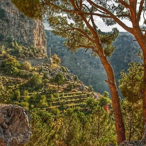  livelovelebanon  livelovebeirut  tannourine  lebanon  travelphotography ...