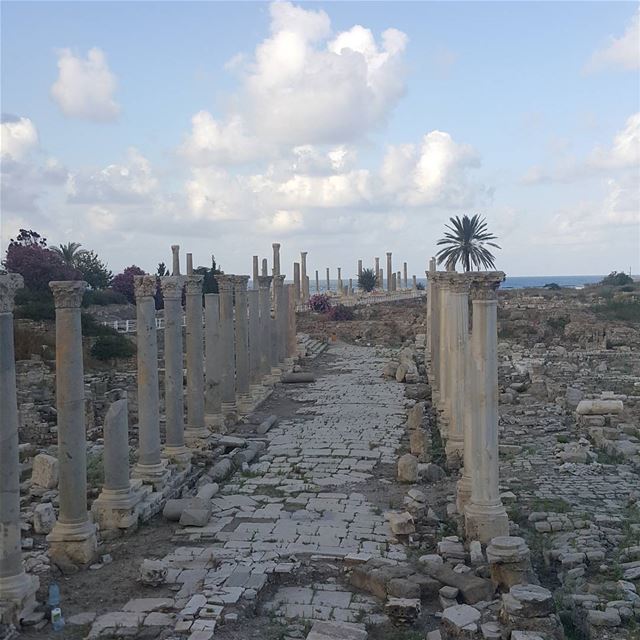  livelovetyre  lebanon  naturelovers  history ...