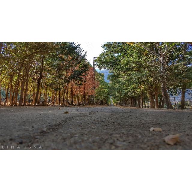 ... Lo que a veces el alma no puede transmitir. ... (West Bekaa)