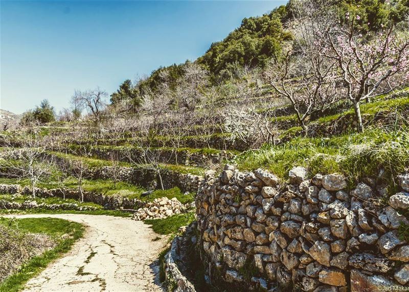 Location: Batloun, Chouf, Lebanon Date: 26-03-2017 Instagram : @jadmakare (Batloun, Mont-Liban, Lebanon)