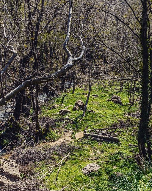 Location: Batloun, Chouf, Lebanon Date: 26-03-2017Instagram : @jadmakare (Batloun, Mont-Liban, Lebanon)