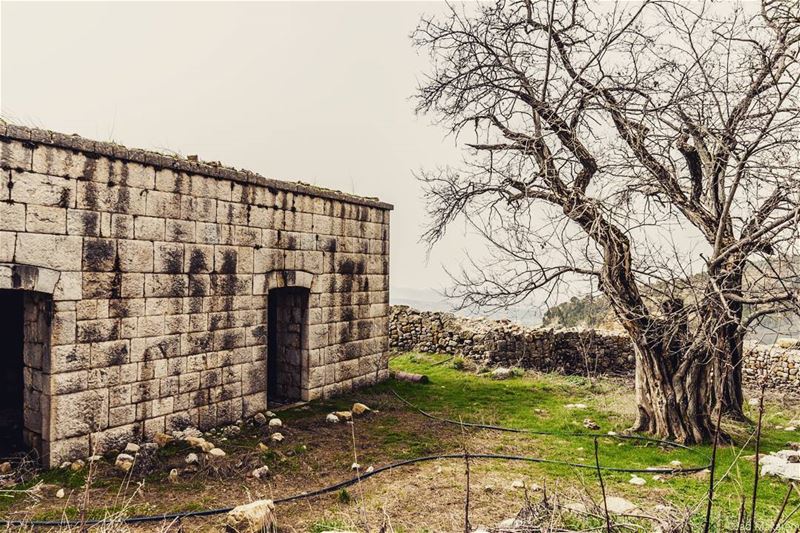 Location: Ehmej, Jbail, Lebanon Date: 18-03-2017 Instagram : @jadmakarem...