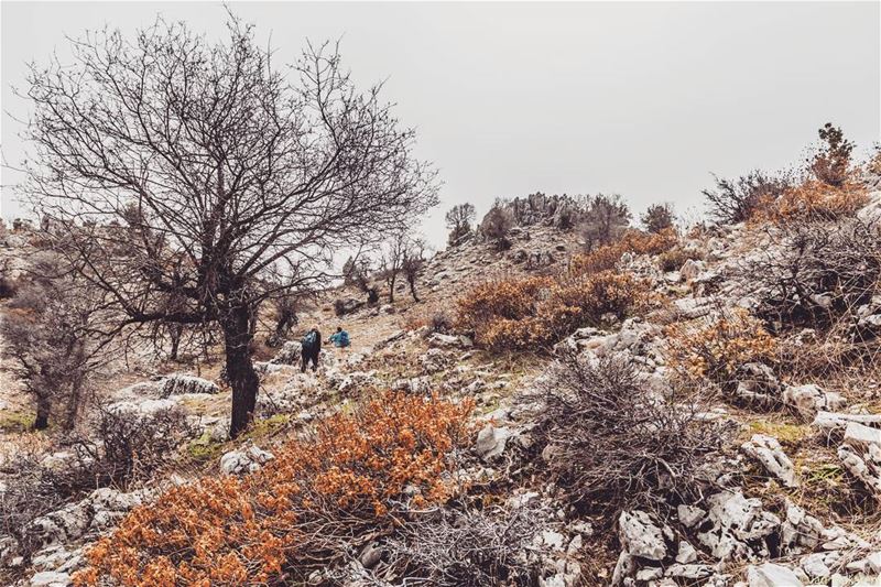 Location: Ehmej, Jbail, Lebanon Date: 18-03-2017 Instagram : @jadmakarem... (Ehmej, Mont-Liban, Lebanon)