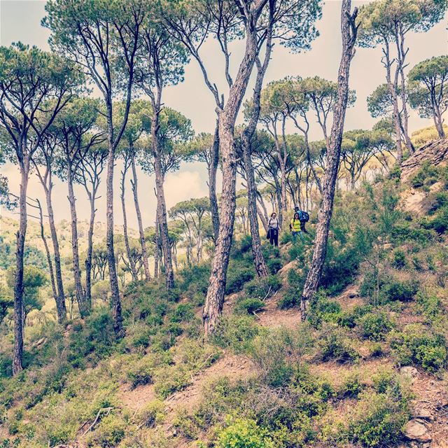 Location: Haytoura, Jezzine, Lebanon Date: 07-05-2017 Instagram : @jadmak (Jezzine District)