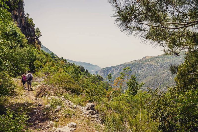 Location: Ibri, Kesserwan, Lebanon Date: 14-05-2017 Instagram : @jadmakar (Nahr Ibrahim, Mont-Liban, Lebanon)