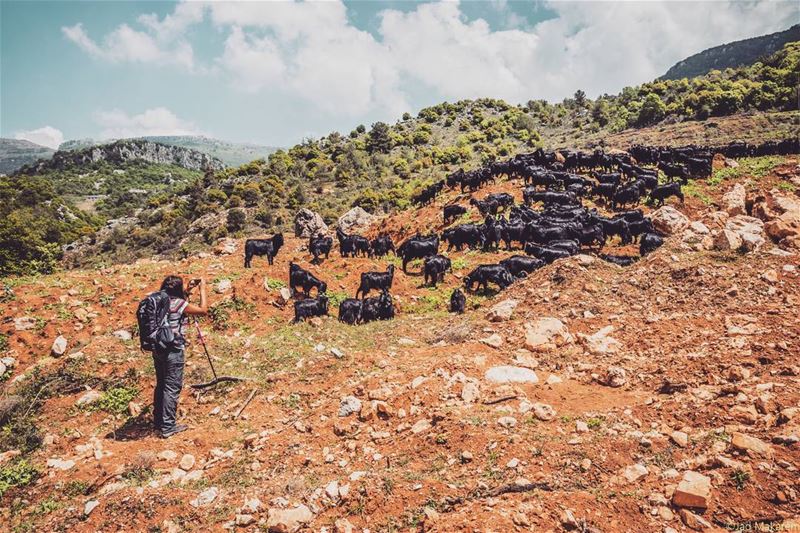 Location: Jezzine Region, Lebanon Date: 07-05-2017 Instagram : @jadmakare (Jezzine District)