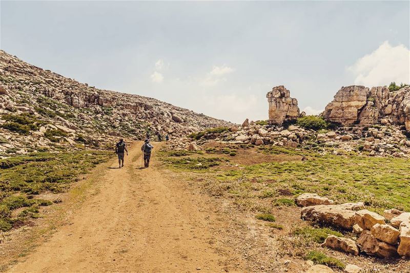 Location: Jroud Tannourine, Lebanon Date: 16-07-2017Instagram : @jadmaka (Jered Tannourine)