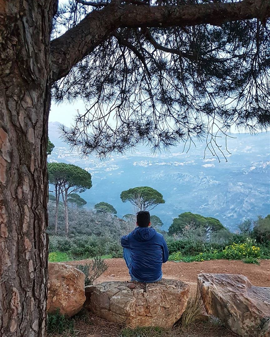 Look deep into nature, and then you will understand everything better.🌳🌳� (Deïr El Harf, Mont-Liban, Lebanon)