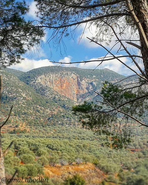 look deep,,, into the nature :) 😎📷🍃👌  hasbaya  al_mare...