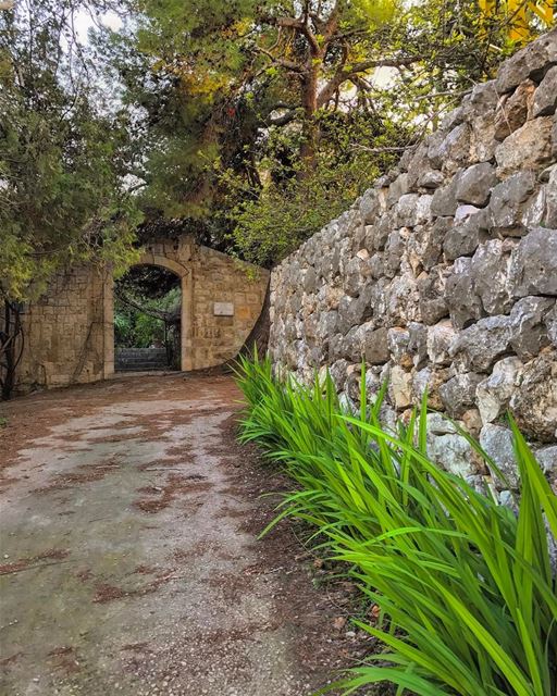 Looking clean after the morning rain🌱• lebanonlovers  lebanonpassion ...