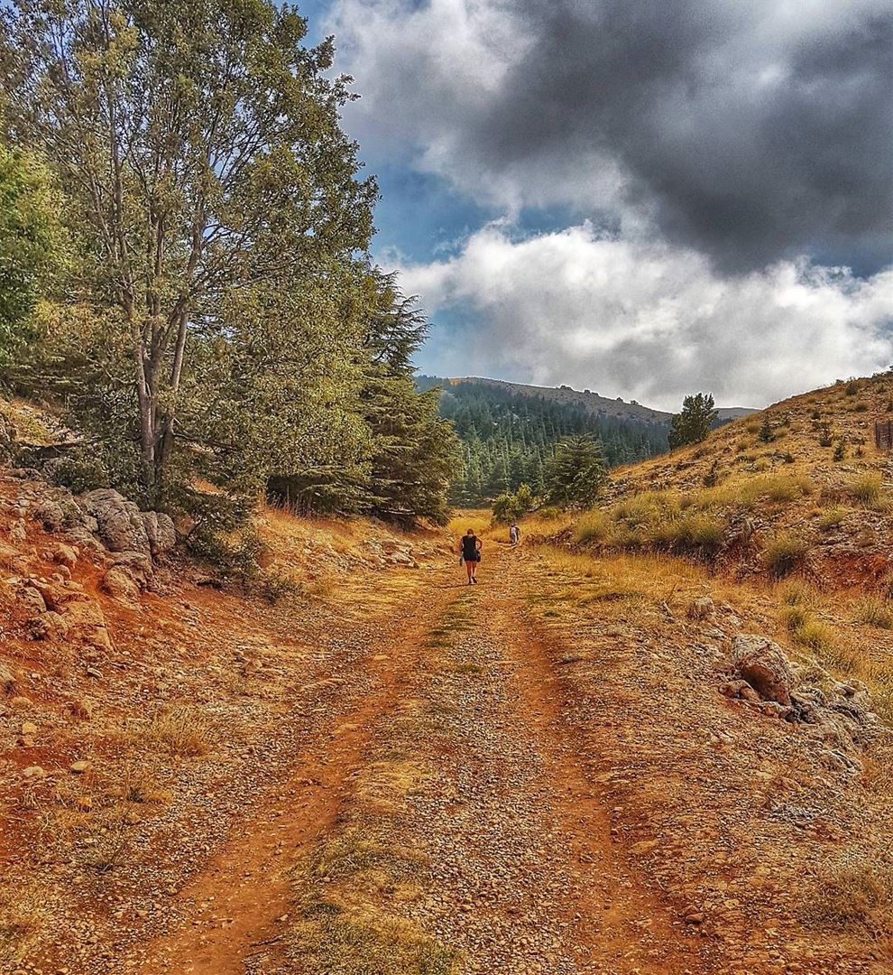 Lost in nature  hike  trail  mountain  adventure  barouk  livelovebarouk ... (Al Shouf Cedar Nature Reserve)