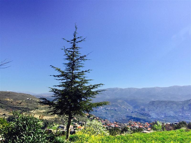 Love lebanon😍by meee ❤️ like4like ... (Mazraat El chouf)