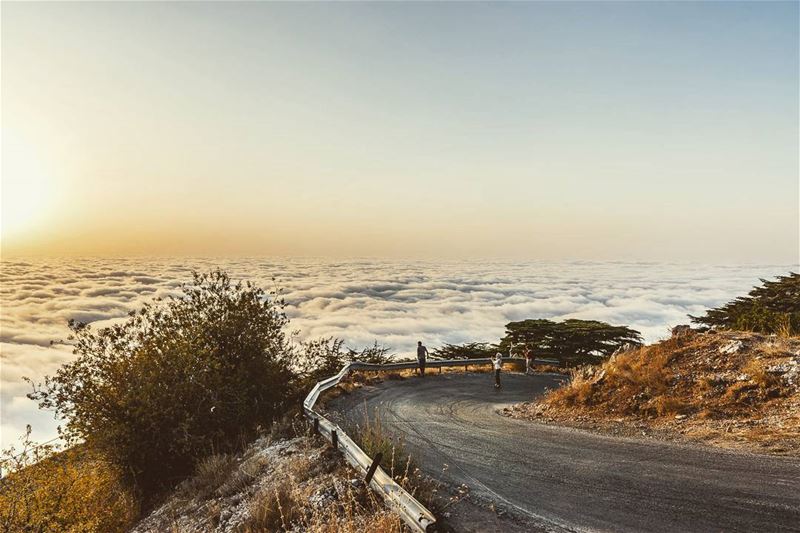 Maaser el Chouf, Lebanon lebanon  hiking  nature  outdoors ... (Al Shouf Cedar Nature Reserve)